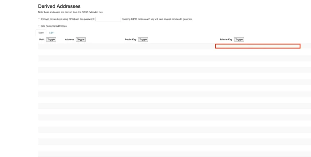 Step 3: Copy the Private Key