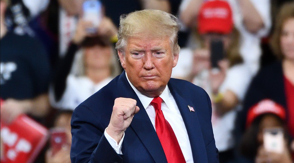 Trump winning fist