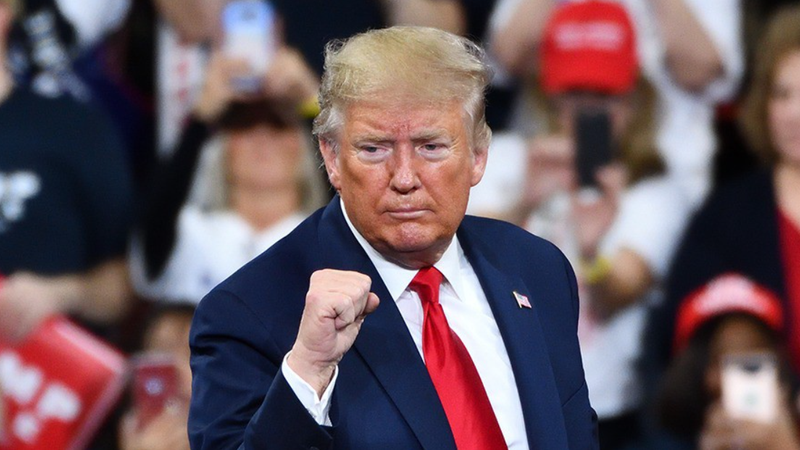 Trump winning fist