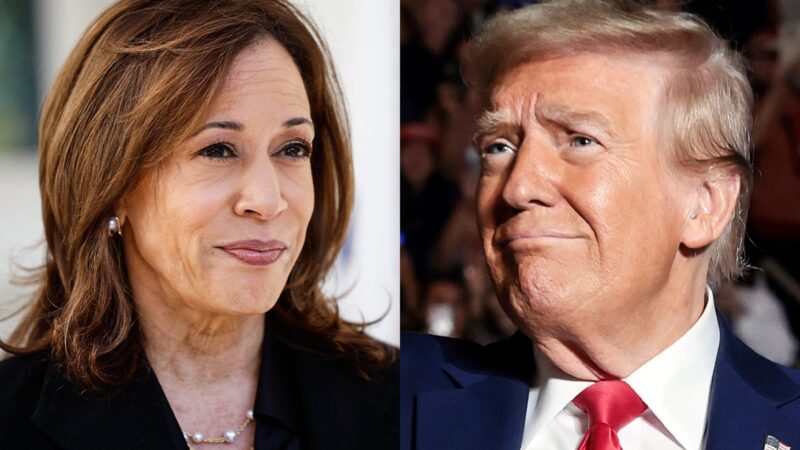Donald Trump and Kamala Harris debate AI development and AI slowdown amid growing AI safety concerns