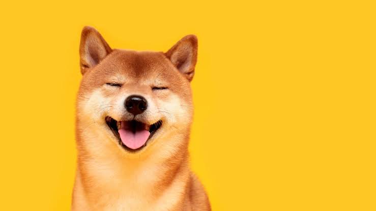 DOGE CRYPTO
