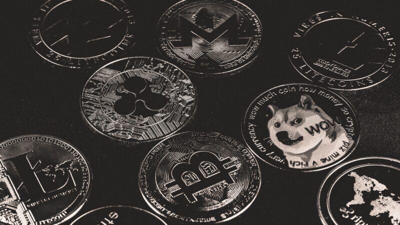 XRP DOGE COINS
