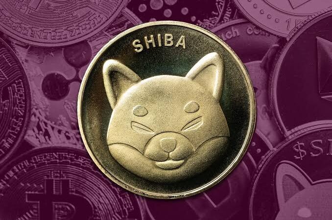 Shiba Inu price