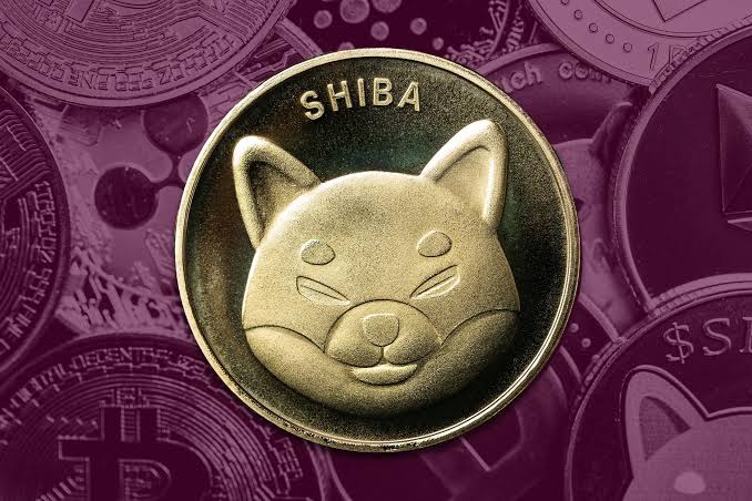 Shiba Inu price