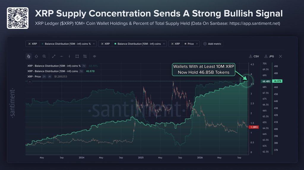 XRP whales