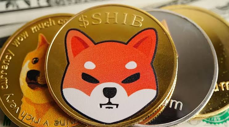 SHIBA INU COIN LOGO